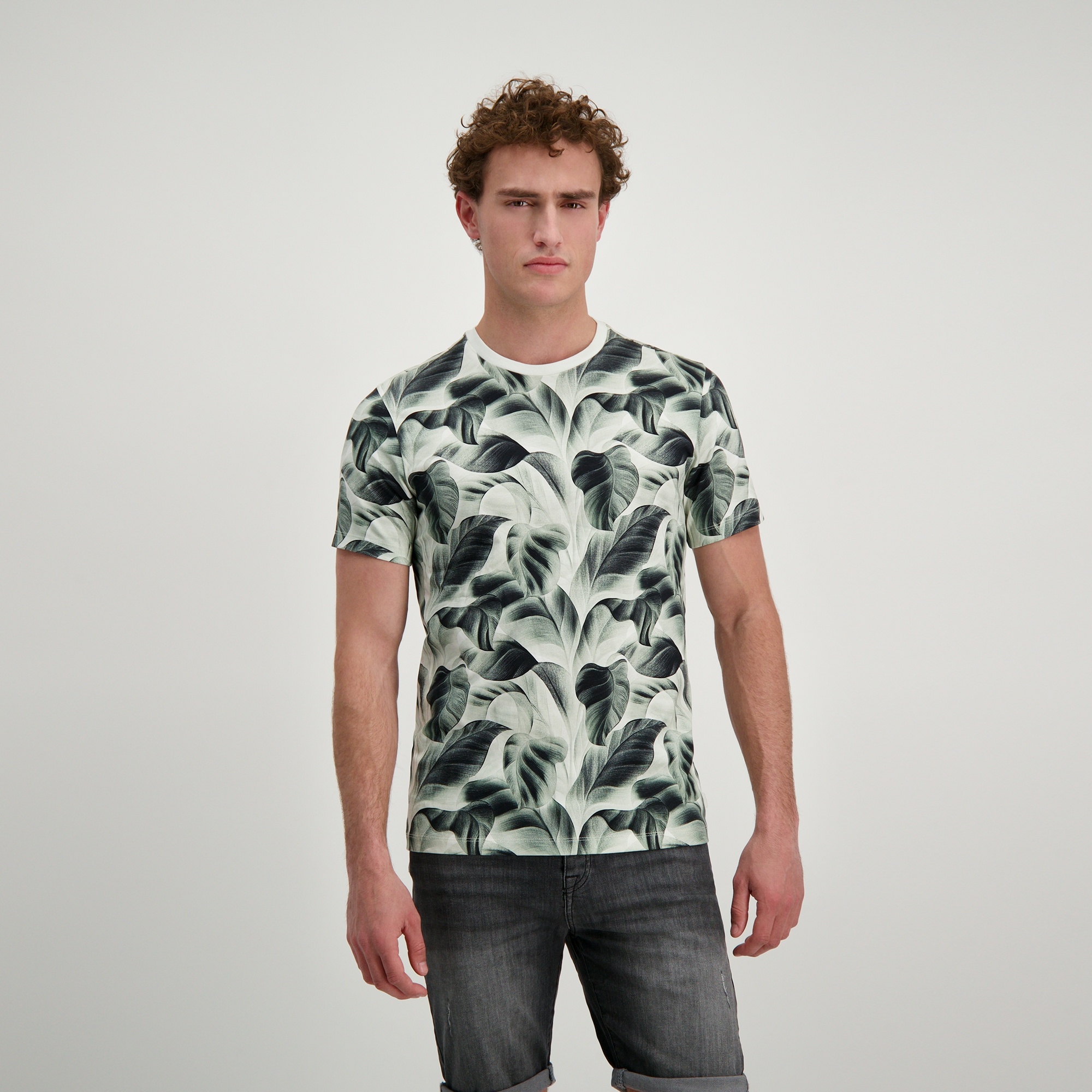 Tipah Ts Moss (44 Moss)