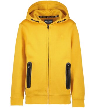 Cars Jeans KIDS ISCAR HOOD SW Ocre