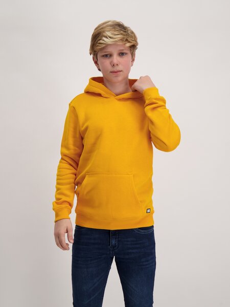 Cars Jeans KIDS KIMAR HOOD SW OCRE