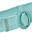 SC-ELVISA 1 (6030 Aqua)