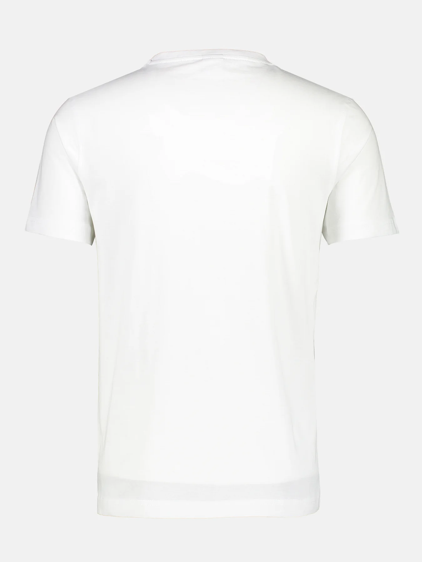 2003000 KLASSIEK HEREN-T-SHIRT ME RONDE HALS (100 WHITE)
