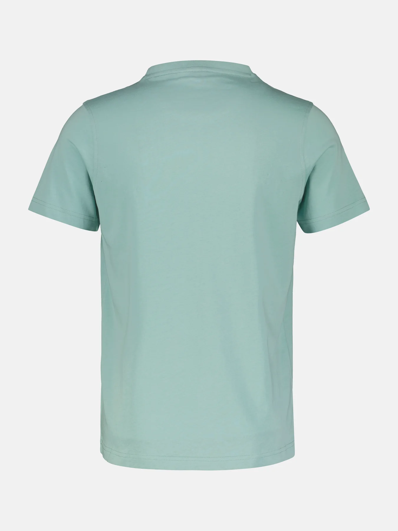 2423000 EFFEN BASIC T-SHIRT LOGOSTEEK (622 COASTAL SEA BLUE)