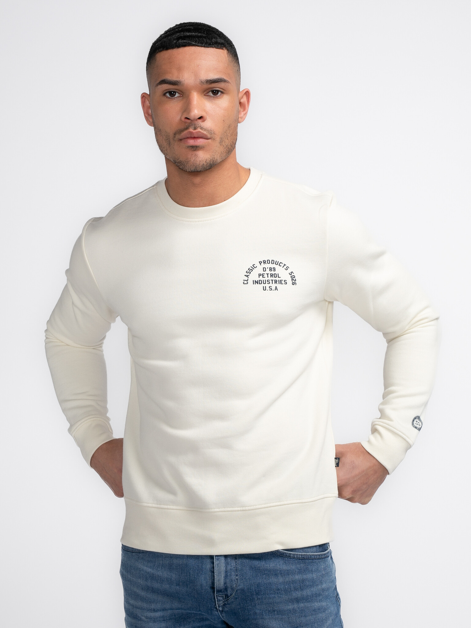 Petrol M-3040-SWR364 Men Sweater Round Neck Print (0007 Antique White)