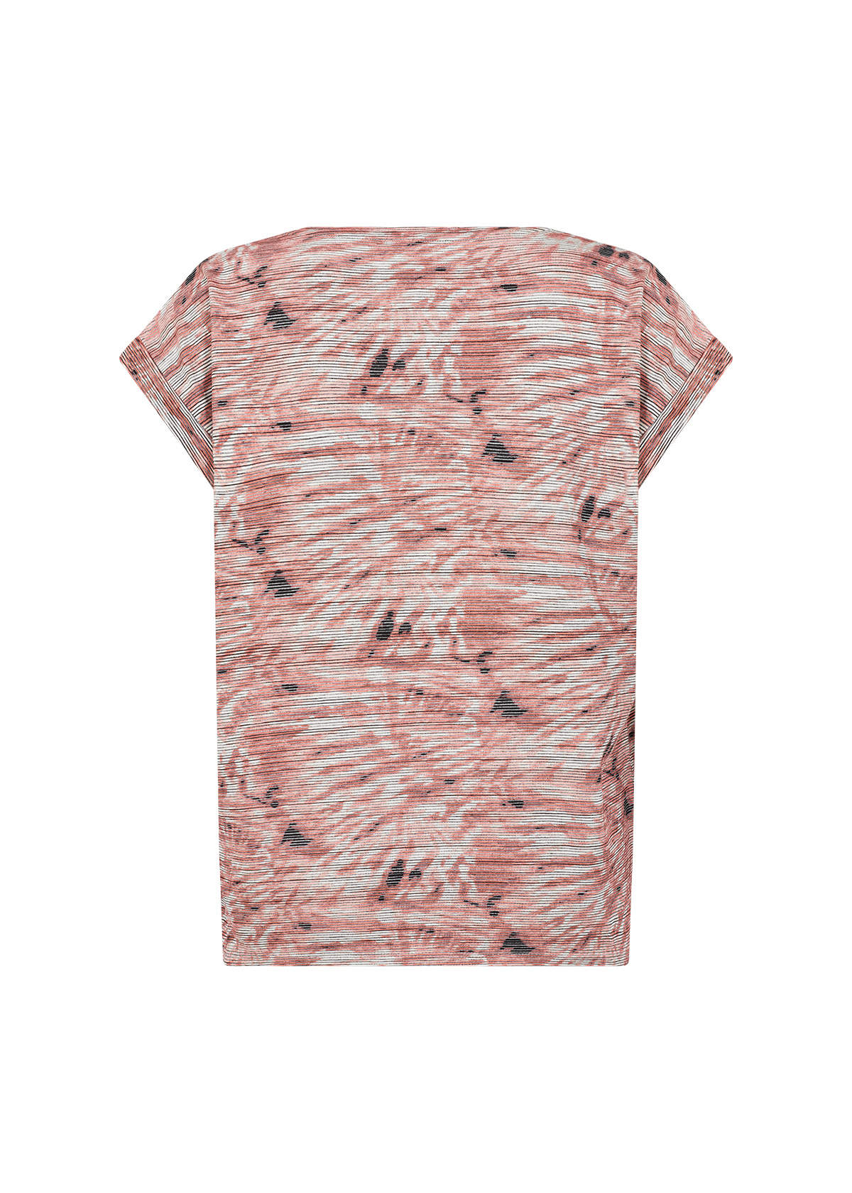 SC GALINA 52 (4635C)