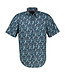 2532404 (443 CRISPY BLUE)