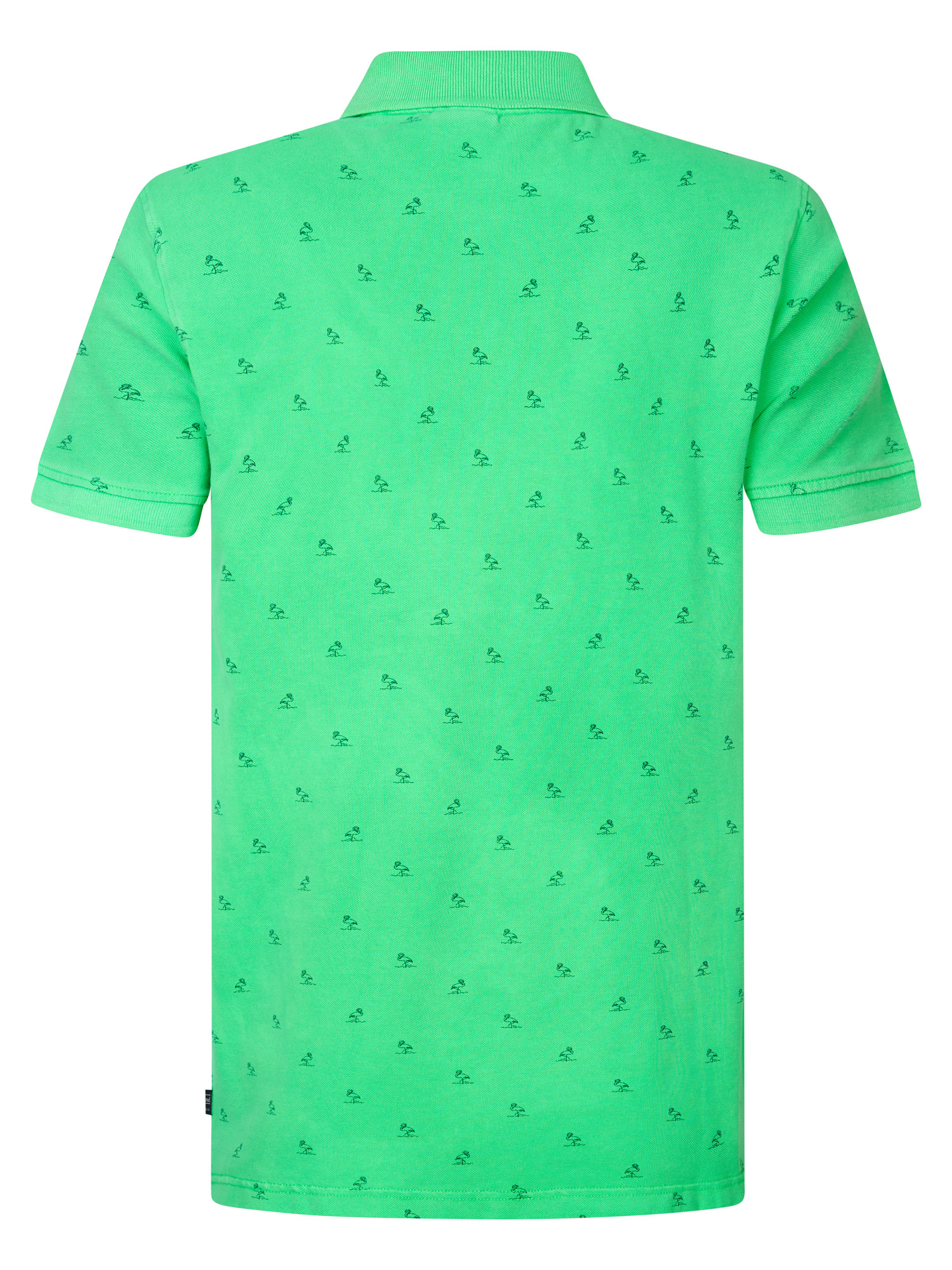 M-1050-POL921 (6098)