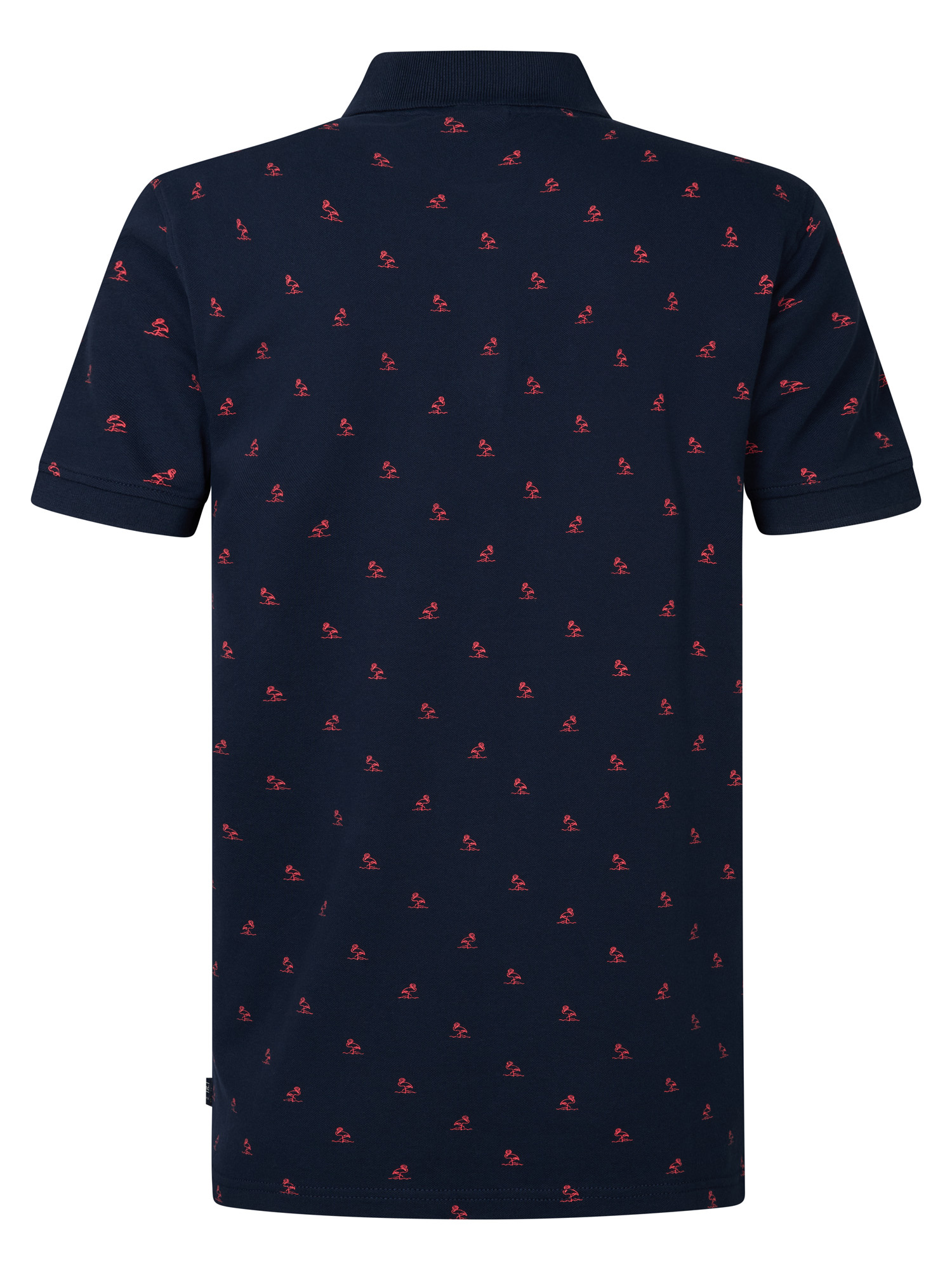 M-1050-POL921 (5178)