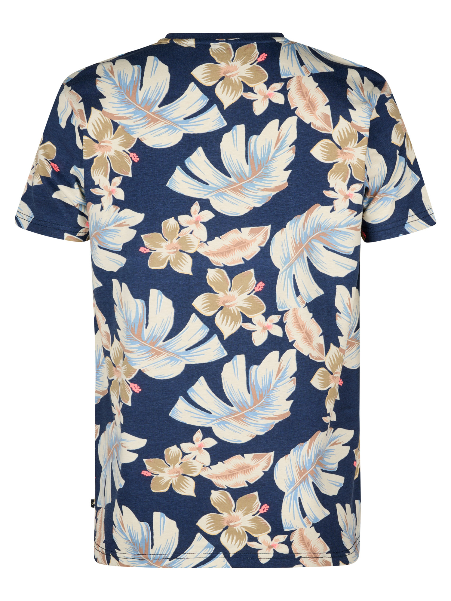 M-1050-TSR655 (5178)