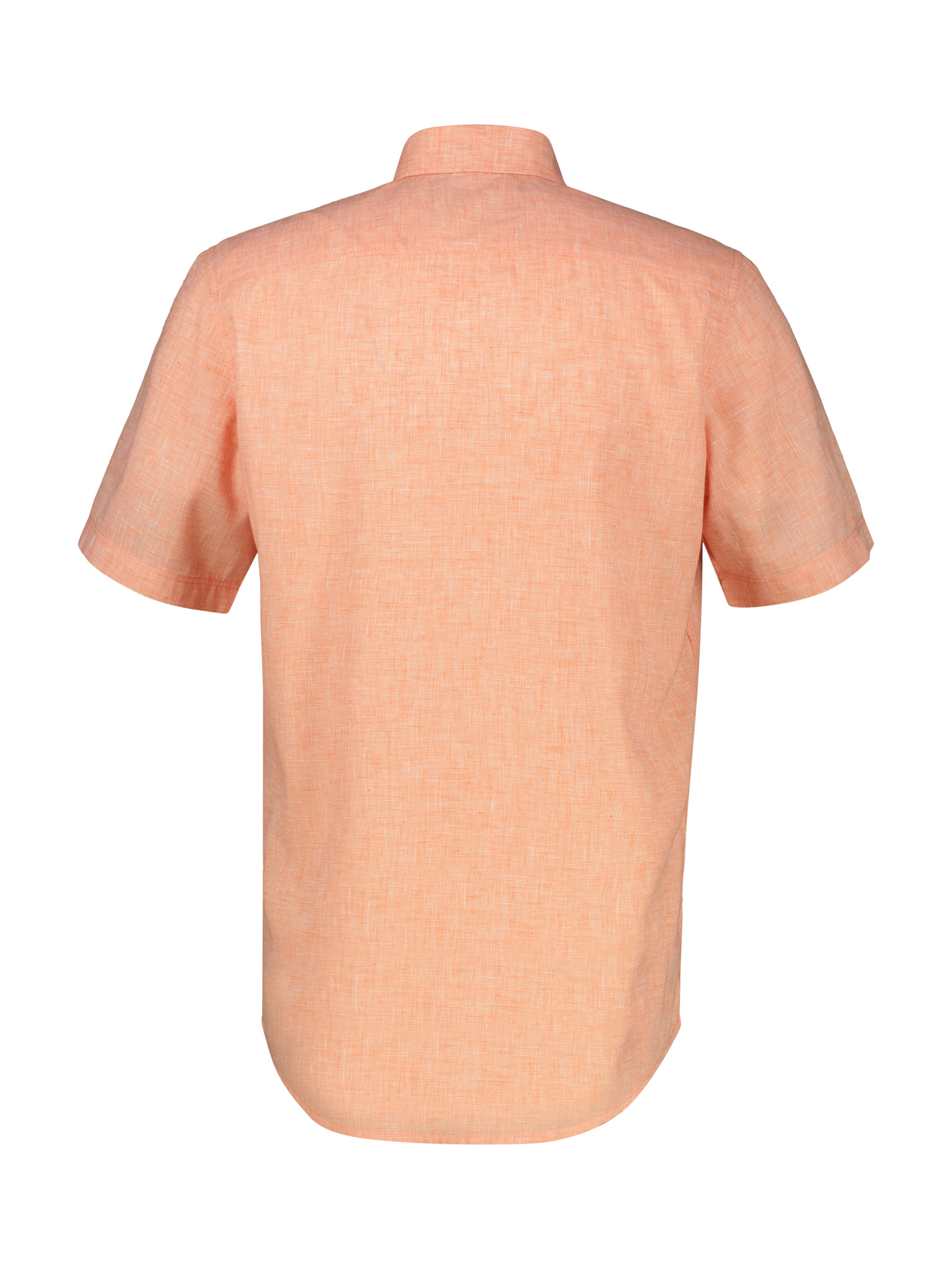 2562440 PALE PAPAYA 918