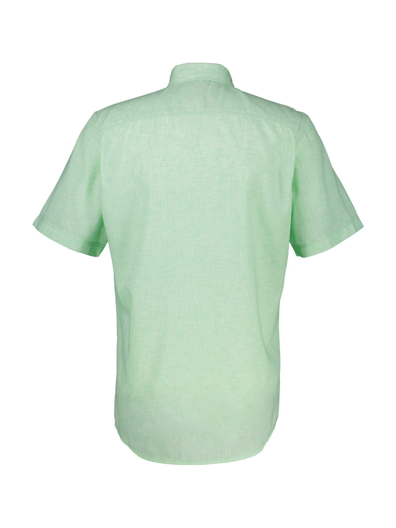 2562440 LIGHT PEPE 616