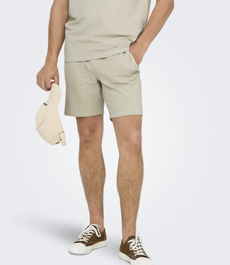 Only & Sons ONSKIAN LIFE REG SEERSUCKER SHORTS (Silver Lining)