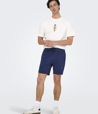 Only & Sons ONSKIAN LIFE REG SEERSUCKER SHORTS (Naval Academy)