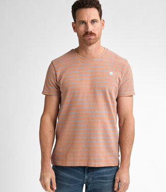 Petrol Industries M-1050-TSR626 Men T-shirt (7143 Sandal Wood)