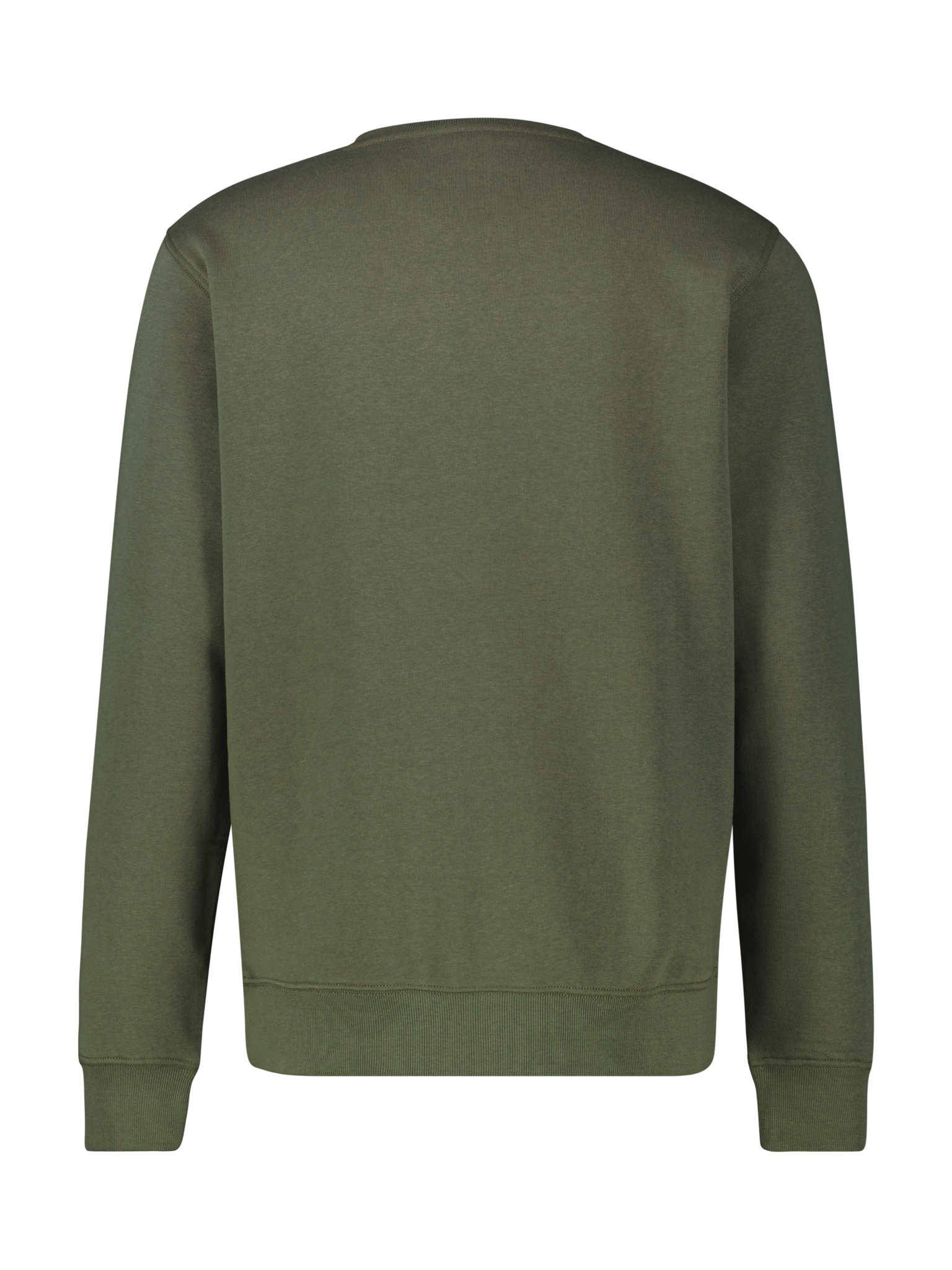 2584016  ( 661 NORDIC OLIVE )