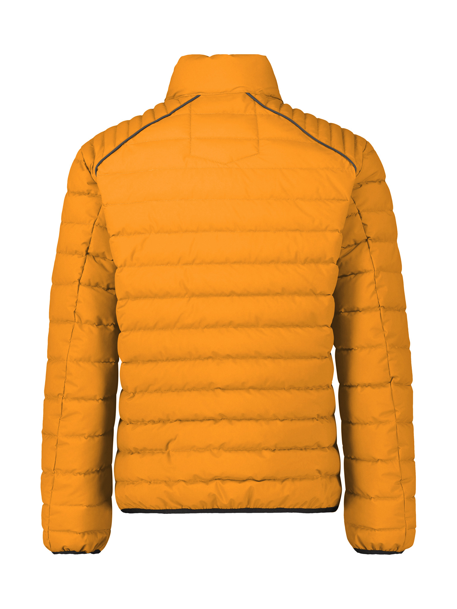 2587013 ( 948 PUMPKIN )