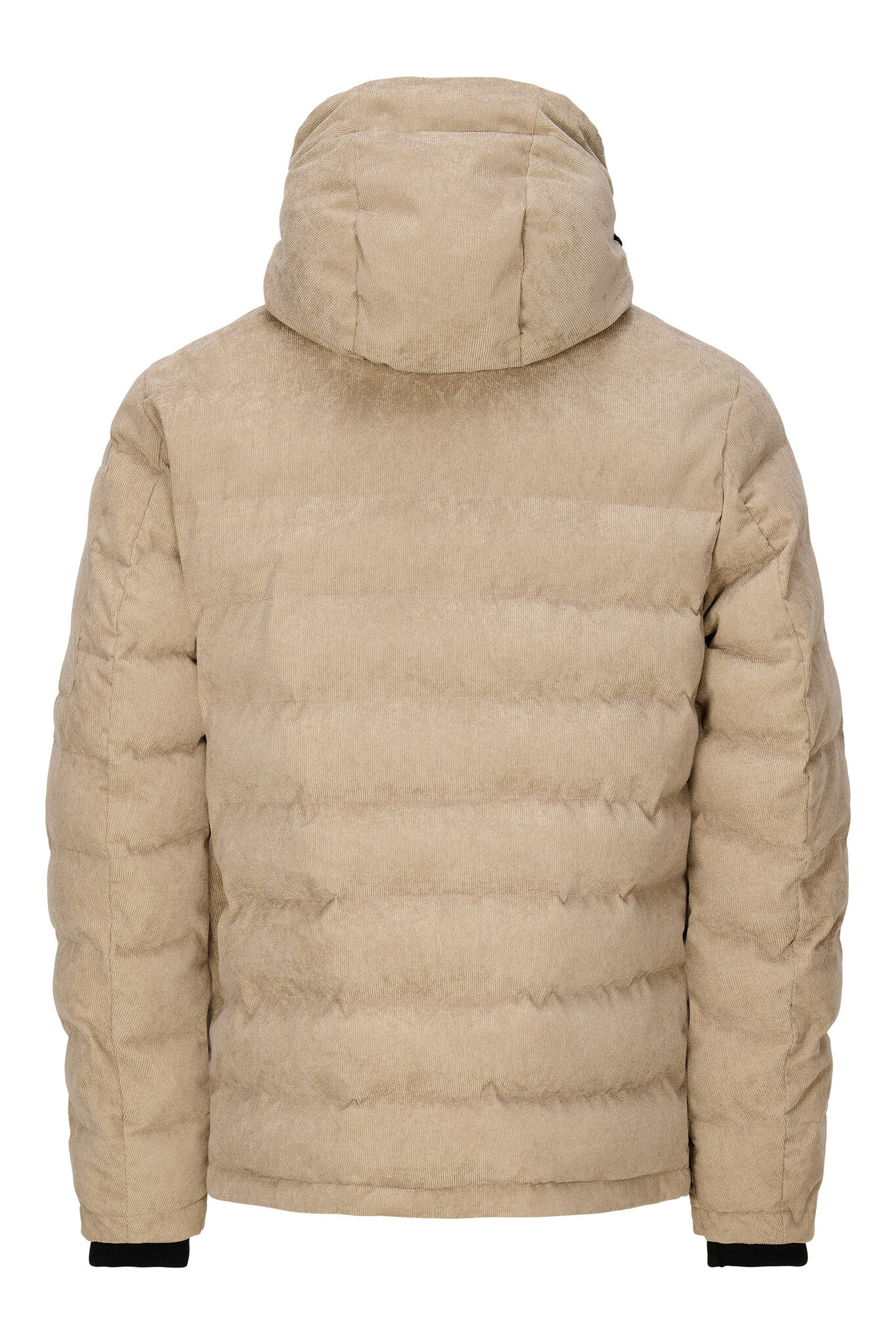 CORT Men's Jacket (Seneca Rock)