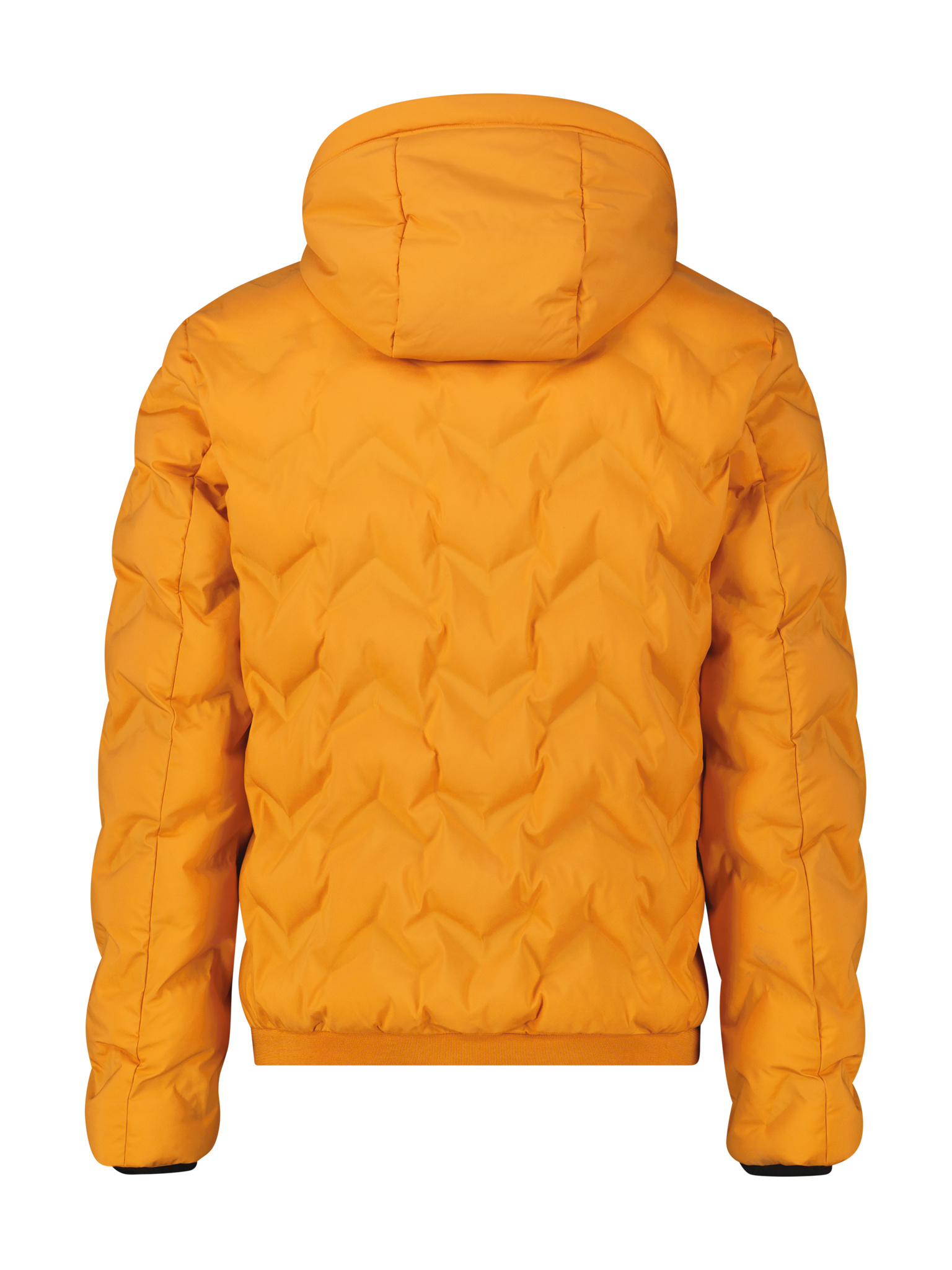 2597014 OUTDOORJACKE (948 PUMPKIN ORANGE)