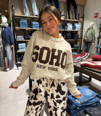 SOHO Pullover Brown