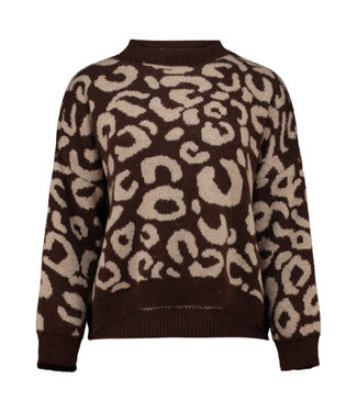 Hailys OLLYANA Pullover (Chocolate/Beige)