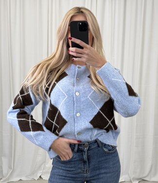 ARI CARDIGUAN (Blue/Brown)
