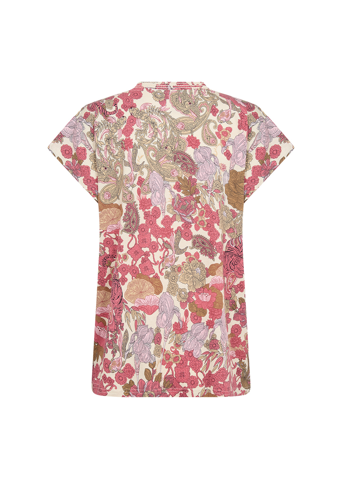 SC-FELICITY AOP 535 (4390C)