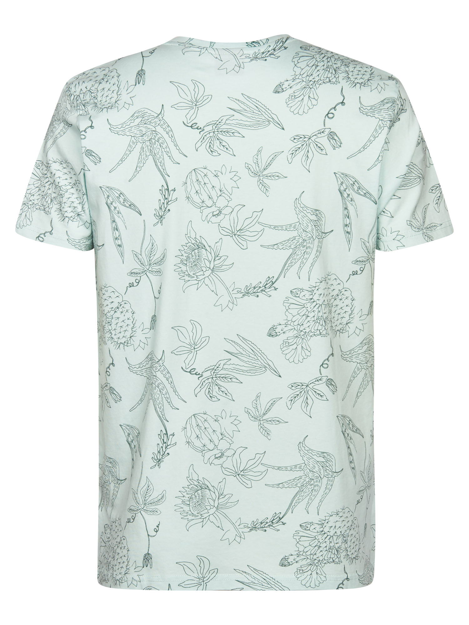 M-1060-TSR618 (6168)