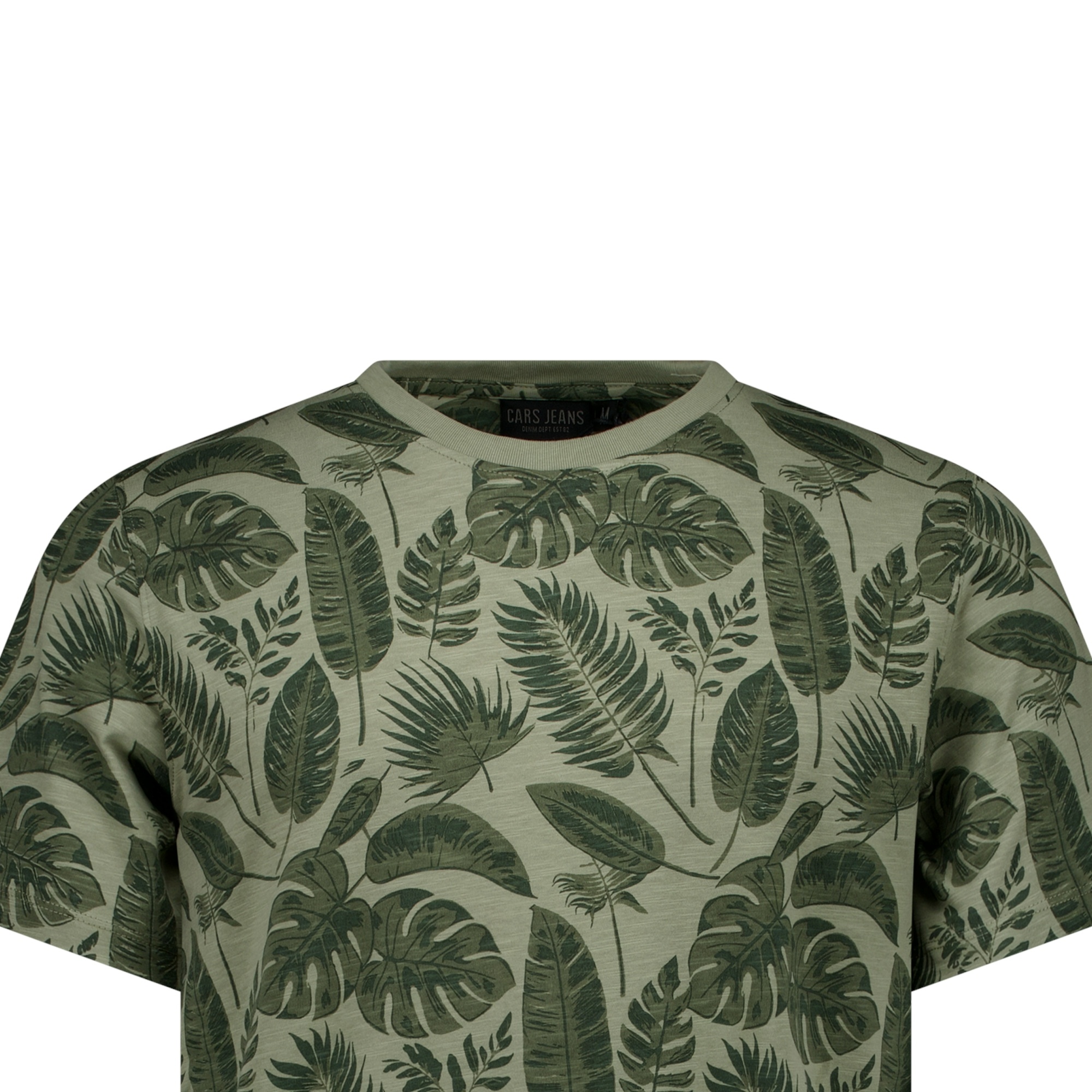 TYOR TS PRINT (MOSS)