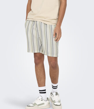 Only & Sons ONSTREV LIFE REG STRU STRIPE SHORTS (SEAGRASS/MULTI STIP)