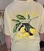 LEMON T-shirt Hanger (Yellow/Grape)