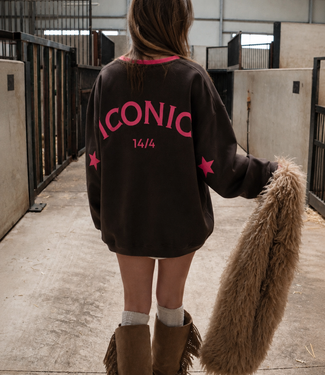 ICONIC STAR Sweater (Brown/Neon Pink)