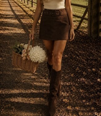 WINTERFELL Suede Skirt (Brown)