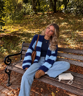CORA Knit Vest (Sky Blue/Navy)