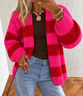CORA Knit Vest (Neon Pink/Red)