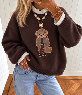 TEDDY BEAR Pullover (Brown)