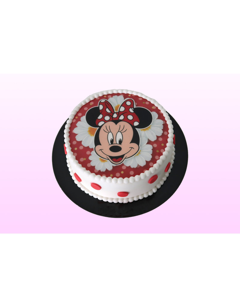 verzameling leren ironie Minnie Mouse taart model 3 - Sweet Planet