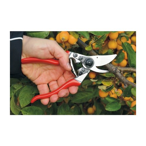 FELCO F 9 snoeischaar FELCO FELCO F 9 snoeischaar