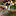 STIHL STIHL MS 201 TC-M benzine kettingzaag