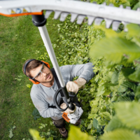 Heggenscharen op steel