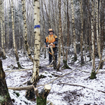 STIHL HTA 150 accu hoogsnoeier STIHL STIHL HTA 150 accu hoogsnoeier