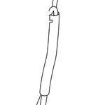 STIHL Slang - 1124 405 8002 STIHL STIHL Slang - 1124 405 8002