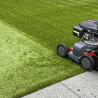 Kunstgrasreinigers Kunstgrasreinigers