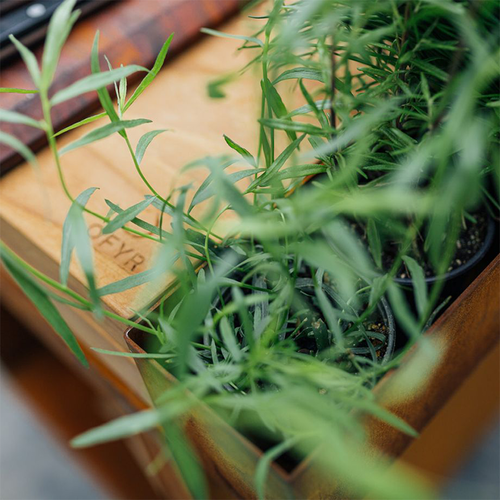 OFYR Island+ Corten 100 PRO - Teak Hout OFYR OFYR Island+ Corten 100 PRO - Teak Hout