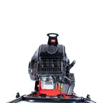 PRO-22 PRO-22 T30 benzine trilplaat