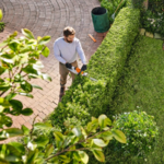 STIHL STIHL HSA 30 accu heggenschaar met AS 2 accu en AL 1 lader