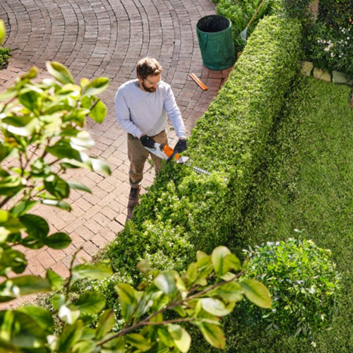 STIHL STIHL HSA 30 accu heggenschaar met AS 2 accu en AL 1 lader