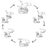 GTM Professional Transformatie set GTRD500 GTM Professional GTM Professional Transformatie set GTRD500