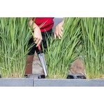 Polet Onkruidsteker Polet Polet Onkruidsteker