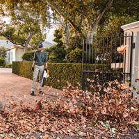 BLADBLAZERS & BLADZUIGERS