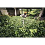 STIHL STIHL HLA 140 B accu hoogsnoeier