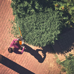 STIHL STIHL HSA 140 T accu heggenschaar actieset incl. accubox - 75 cm